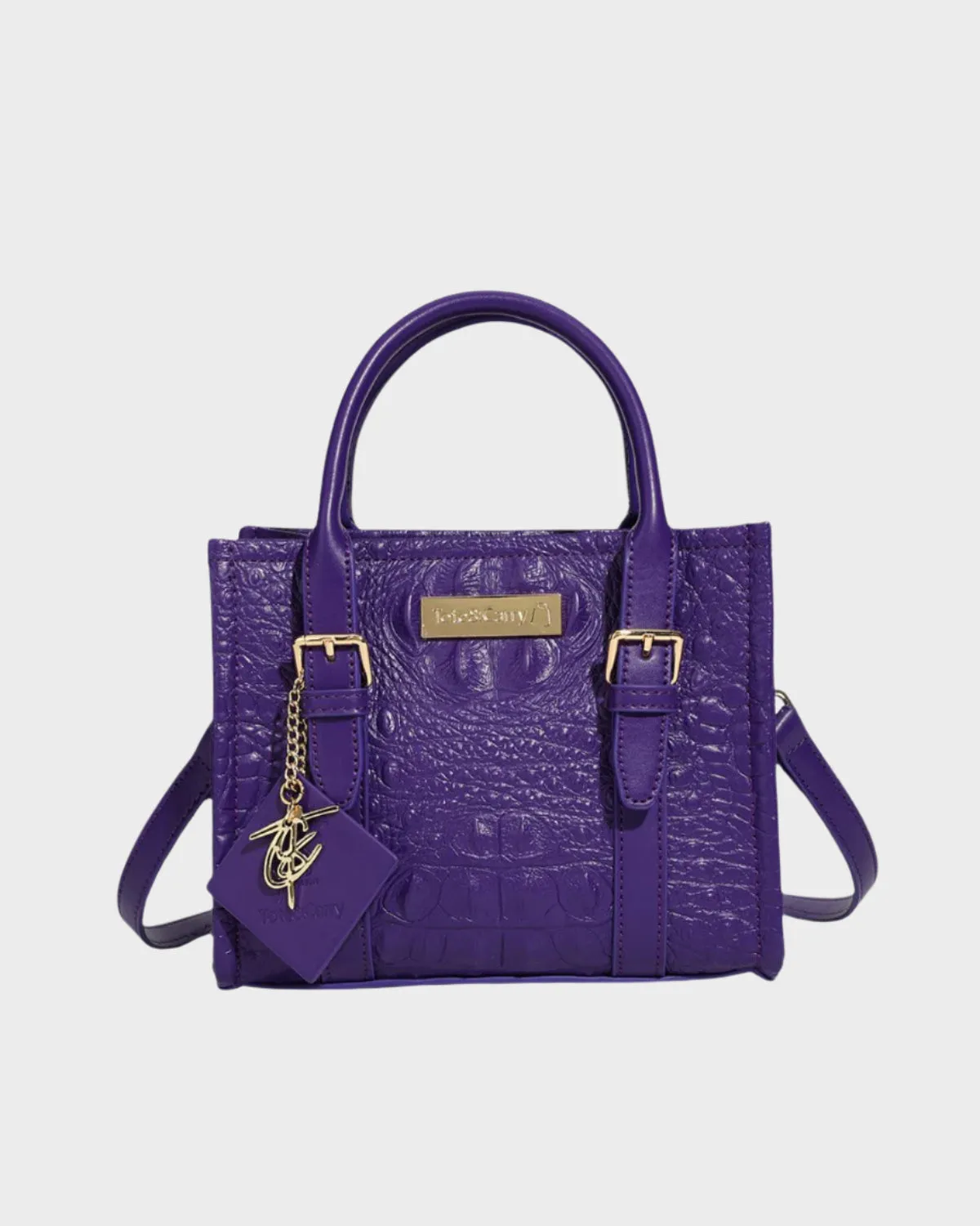 Apollo 2 Mini Tote Bags
