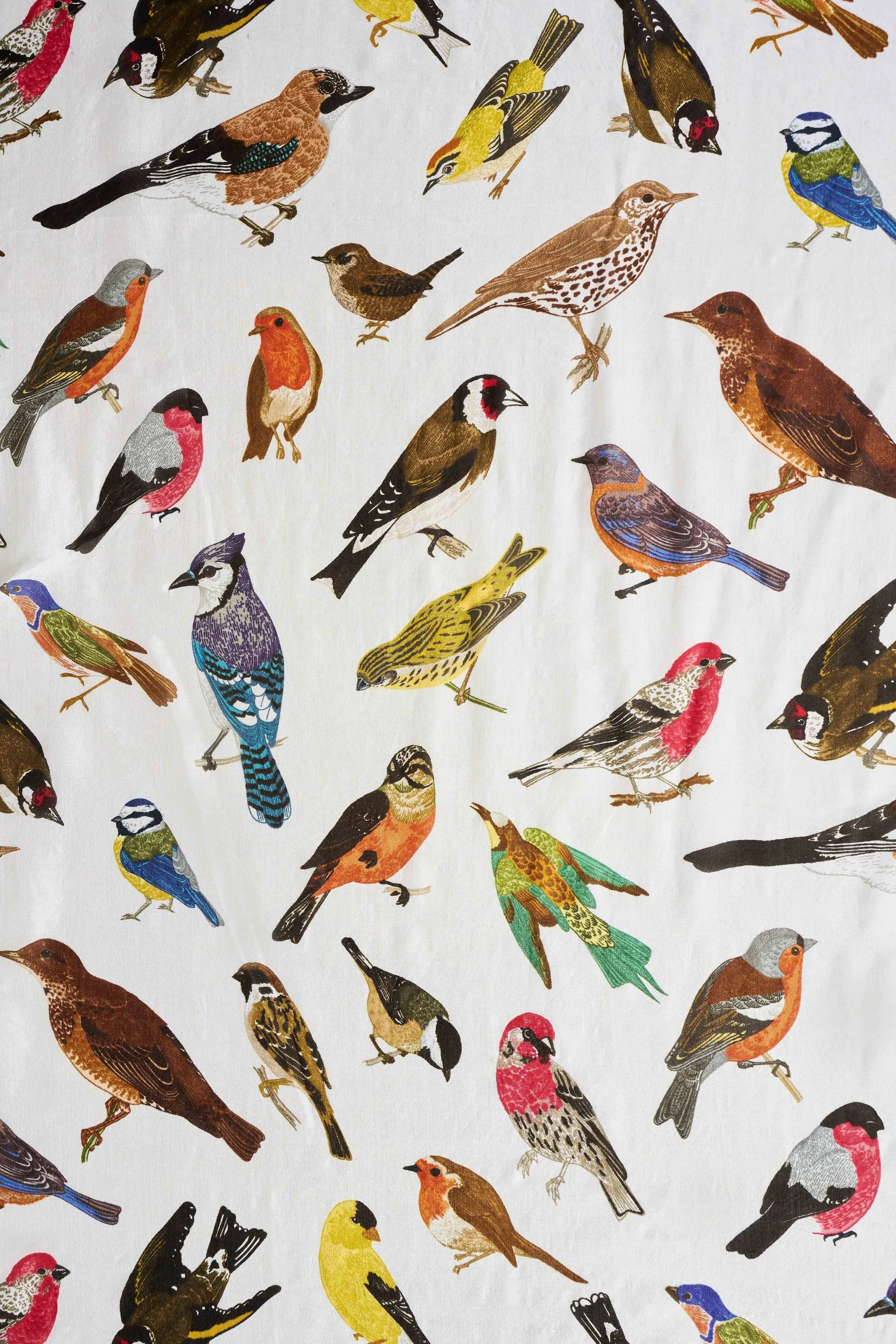 Multi Bird Print Silk Scarf - Multi