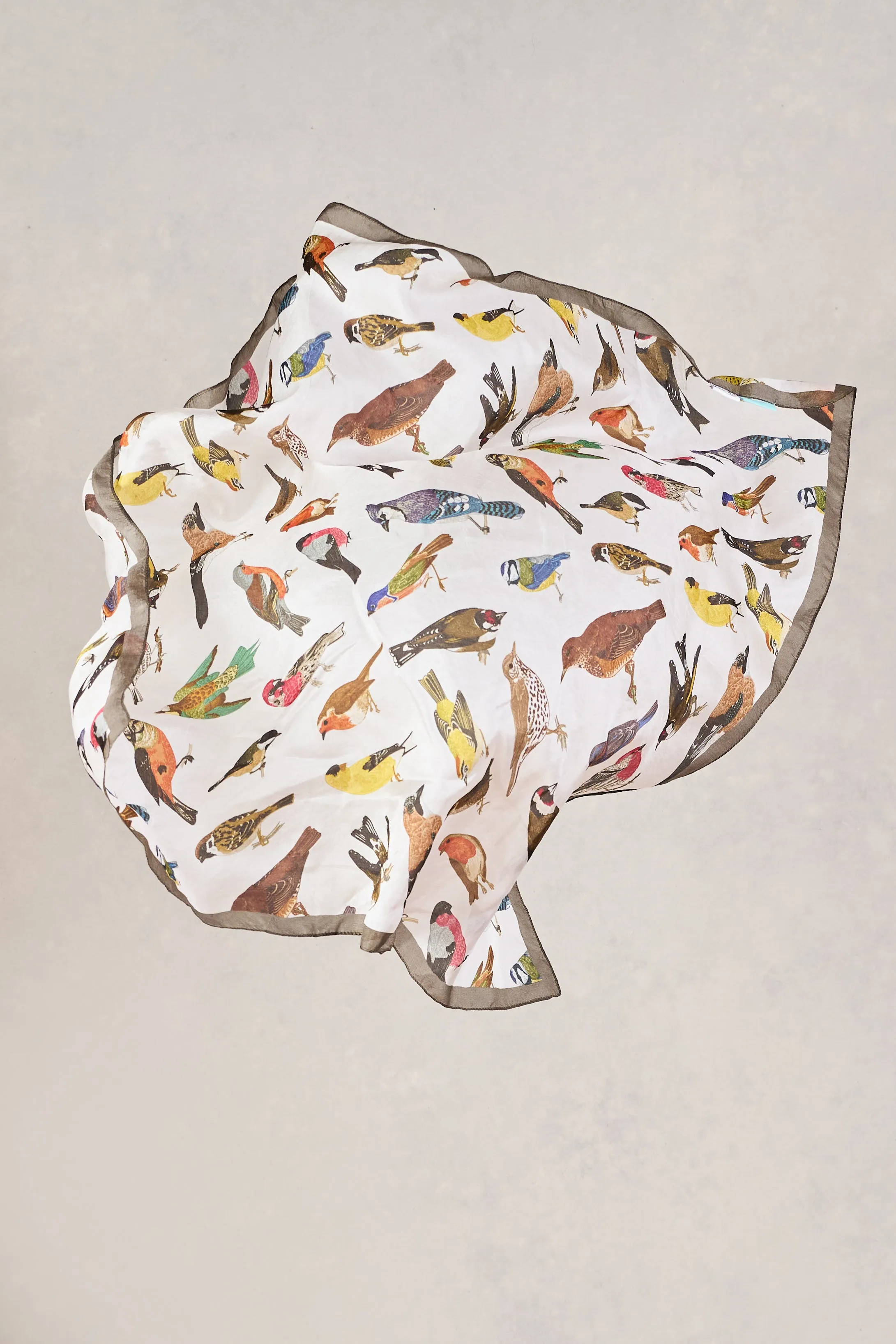 Multi Bird Print Silk Scarf - Multi