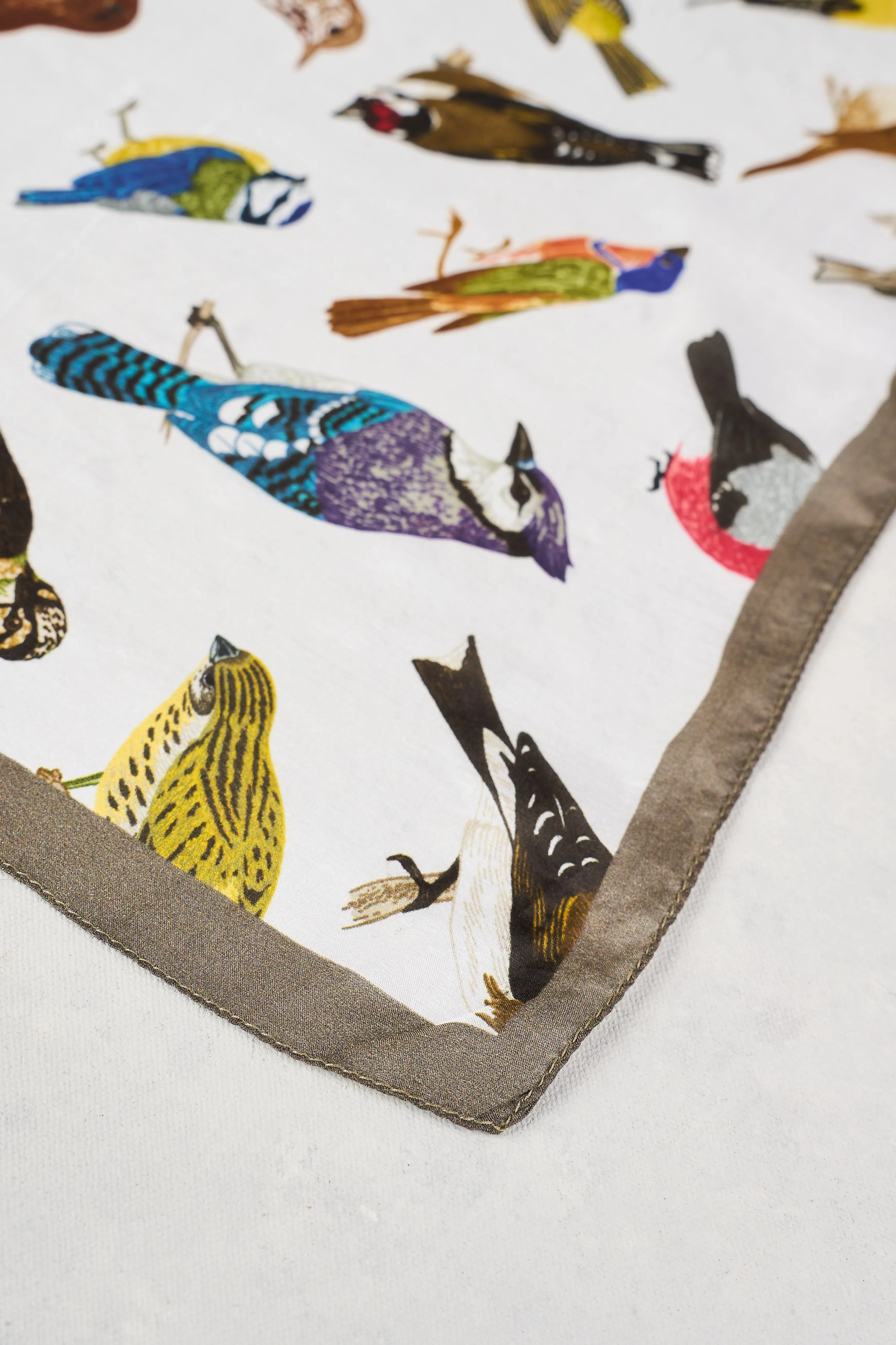Multi Bird Print Silk Scarf - Multi