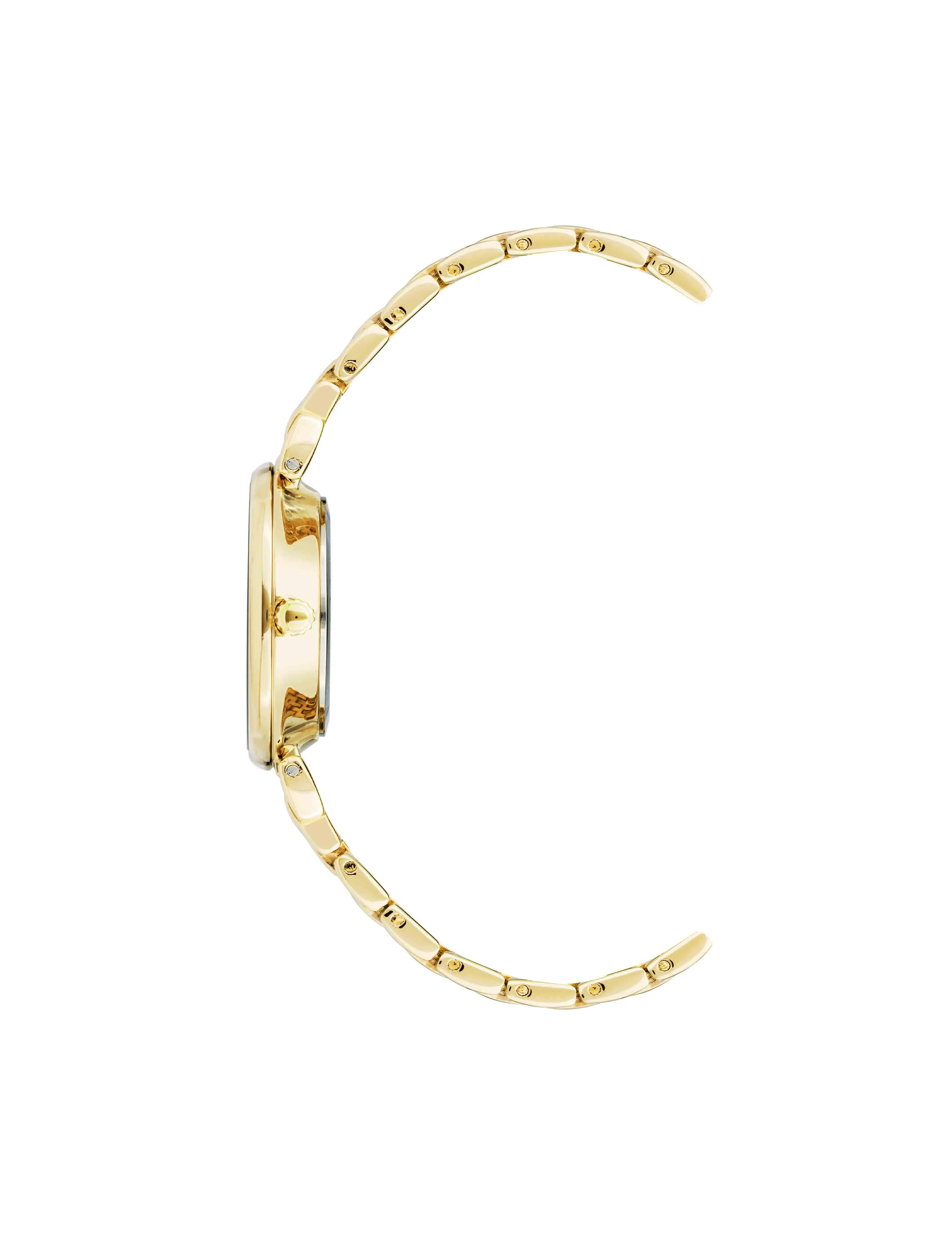 Roman Numeral Dial Watch