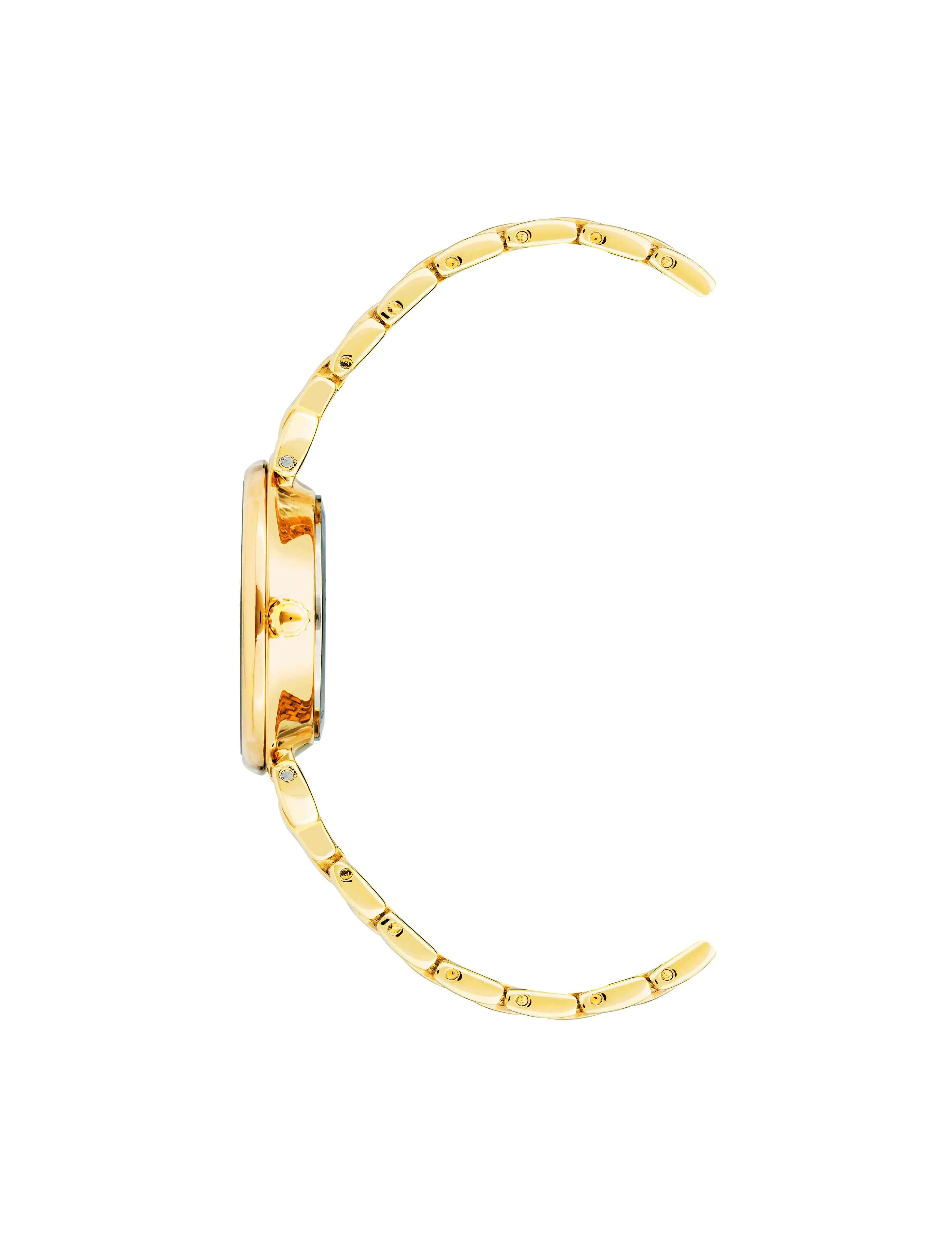 Roman Numeral Dial Watch